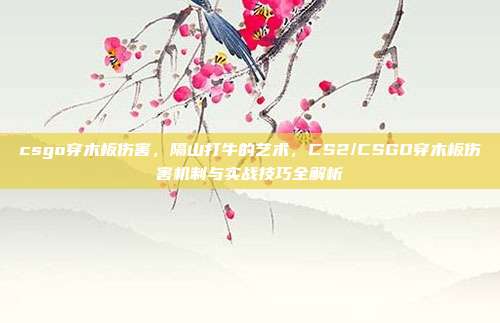 csgo穿木板伤害，隔山打牛的艺术，CS2/CSGO穿木板伤害机制与实战技巧全解析