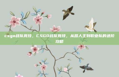 csgo战队竞技，CSGO战队竞技，从路人王到职业队的进阶攻略