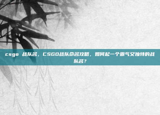 csgo 战队名,CSGO战队命名攻略,如何起一个霸气又独特的战队名?