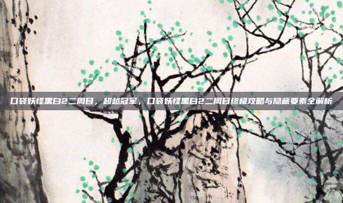 口袋妖怪黑白2二周目,超越冠军,口袋妖怪黑白2二周目终极攻略与隐藏要素全解析