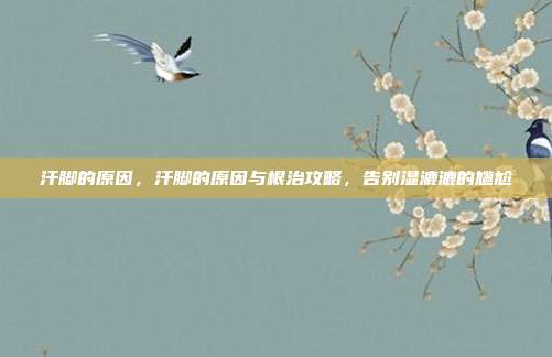 汗脚的原因，汗脚的原因与根治攻略，告别湿漉漉的尴尬