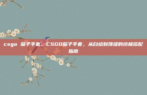 csgo 茄子手套，CSGO茄子手套，从白给到顶级的终极搭配指南