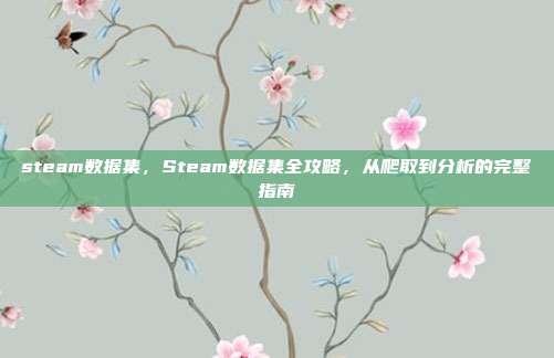 steam数据集,Steam数据集全攻略,从爬取到分析的完整指南