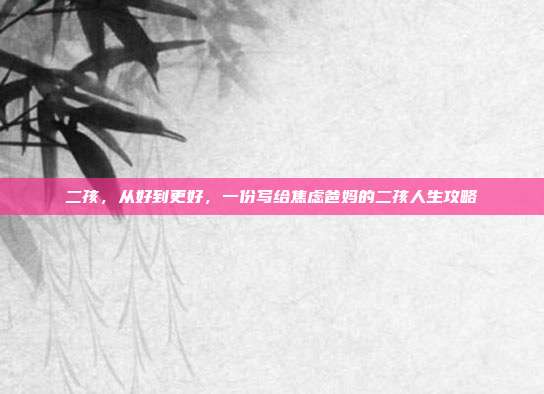 二孩,从好到更好,一份写给焦虑爸妈的二孩人生攻略
