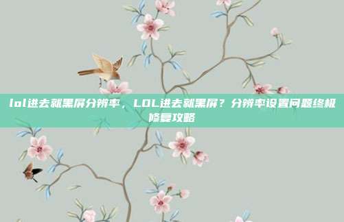 lol进去就黑屏分辨率,LOL进去就黑屏?分辨率设置问题终极修复攻略