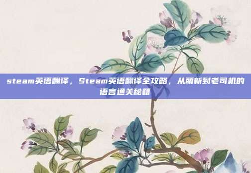 steam英语翻译,Steam英语翻译全攻略,从萌新到老司机的语言通关秘籍
