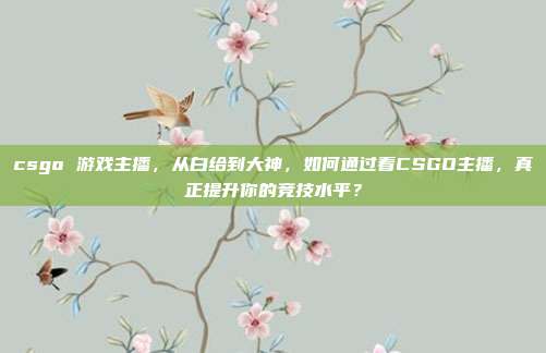 csgo 游戏主播,从白给到大神,如何通过看CSGO主播,真正提升你的竞技水平?