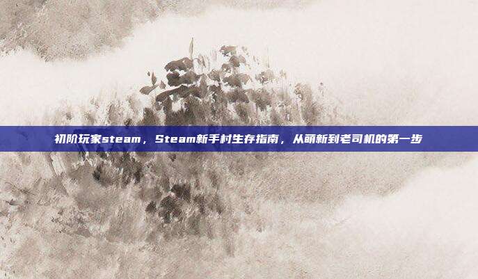 初阶玩家steam,Steam新手村生存指南,从萌新到老司机的第一步