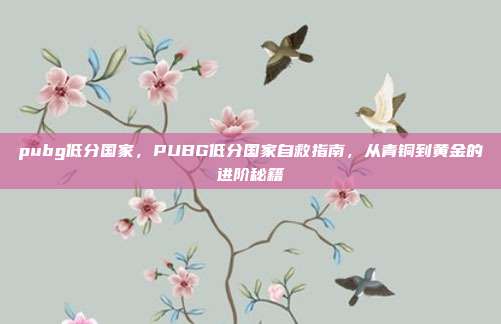 pubg低分国家，PUBG低分国家自救指南，从青铜到黄金的进阶秘籍