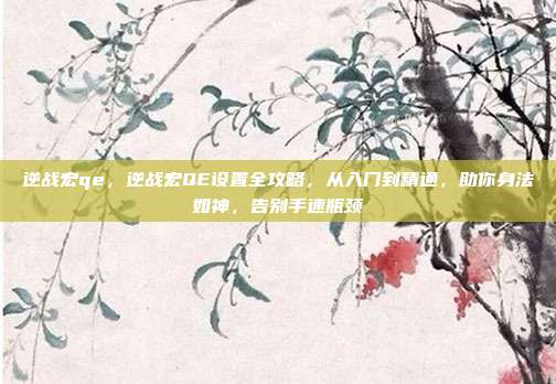 逆战宏qe，逆战宏QE设置全攻略，从入门到精通，助你身法如神，告别手速瓶颈