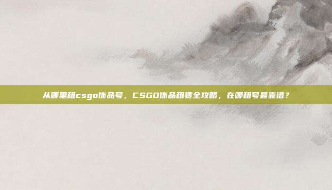 从哪里租csgo饰品号，CSGO饰品租赁全攻略，在哪租号最靠谱？