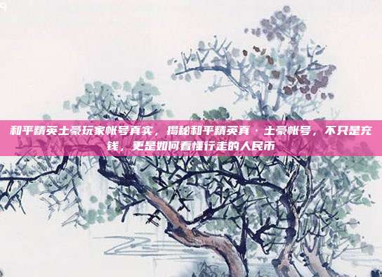 和平精英土豪玩家帐号真实,揭秘和平精英真·土豪帐号,不只是充钱,更是如何看懂行走的人民币
