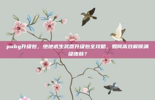 pubg升级包，绝地求生武器升级包全攻略，如何高效解锁满级皮肤？