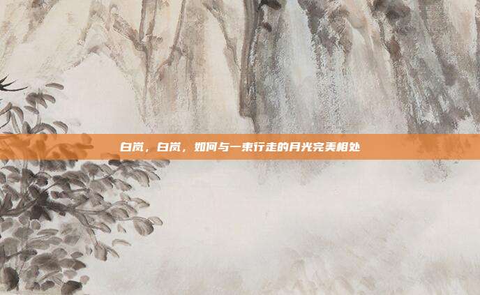 白岚,白岚,如何与一束行走的月光完美相处