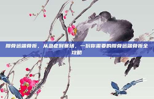 腓骨远端骨折,从急症到赛场,一份你需要的腓骨远端骨折全攻略