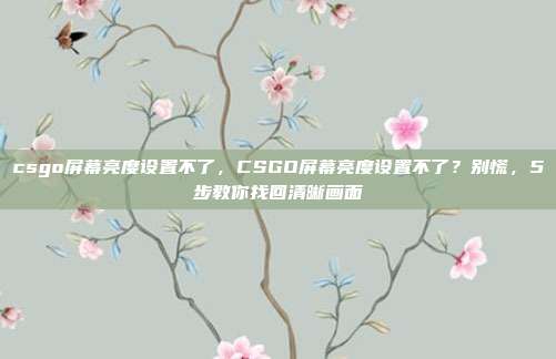 csgo屏幕亮度设置不了,CSGO屏幕亮度设置不了?别慌,5步教你找回清晰画面