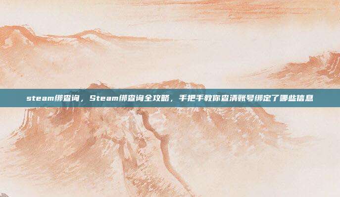 steam绑查询，Steam绑查询全攻略，手把手教你查清账号绑定了哪些信息