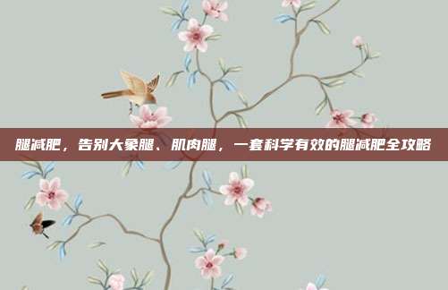 腿减肥,告别大象腿、肌肉腿,一套科学有效的腿减肥全攻略