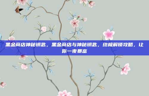 黑金商店神秘钥匙,黑金商店与神秘钥匙,终极解锁攻略,让你一夜暴富