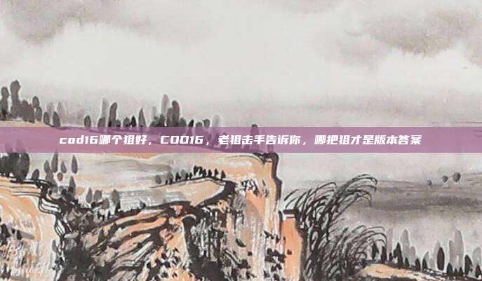 cod16哪个狙好,COD16,老狙击手告诉你,哪把狙才是版本答案