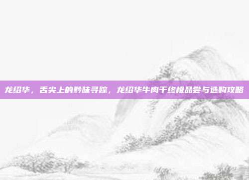 龙绍华,舌尖上的黔味寻踪,龙绍华牛肉干终极品尝与选购攻略