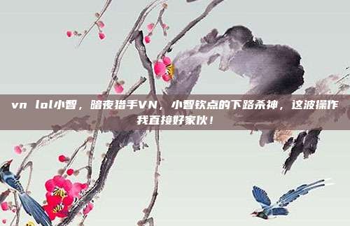 vn lol小智，暗夜猎手VN，小智钦点的下路杀神，这波操作我直接好家伙！