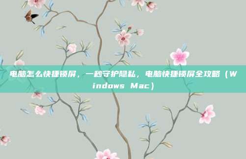 电脑怎么快捷锁屏,一秒守护隐私,电脑快捷锁屏全攻略(Windows Mac)