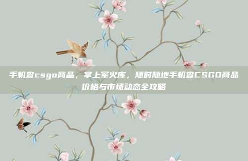 手机查csgo商品，掌上军火库，随时随地手机查CSGO商品价格与市场动态全攻略