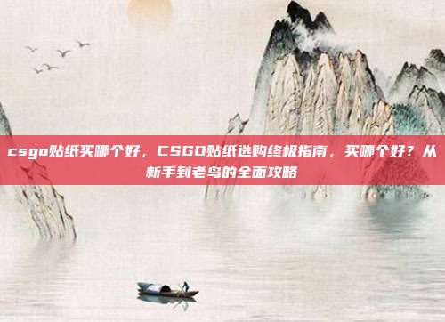csgo贴纸买哪个好，CSGO贴纸选购终极指南，买哪个好？从新手到老鸟的全面攻略