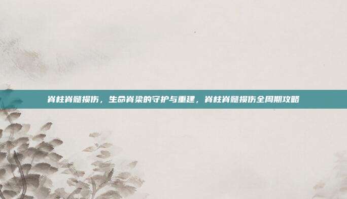 脊柱脊髓损伤，生命脊梁的守护与重建，脊柱脊髓损伤全周期攻略