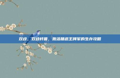双歧，双歧杆菌，激活肠道王牌军的生存攻略