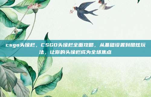 csgo头像栏，CSGO头像栏全面攻略，从基础设置到酷炫玩法，让你的头像栏成为全场焦点