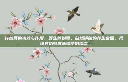 桦树茸的功效与作用，野生桦树茸，自然馈赠的养生宝藏，揭秘其功效与选择使用指南