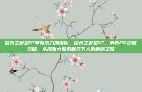 信长之野望12革新威力加强版，信长之野望12，革新PK深度攻略，从尾张大傻瓜到天下人的制霸之路