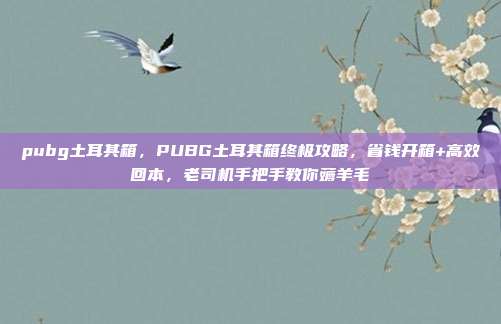 pubg土耳其箱，PUBG土耳其箱终极攻略，省钱开箱+高效回本，老司机手把手教你薅羊毛