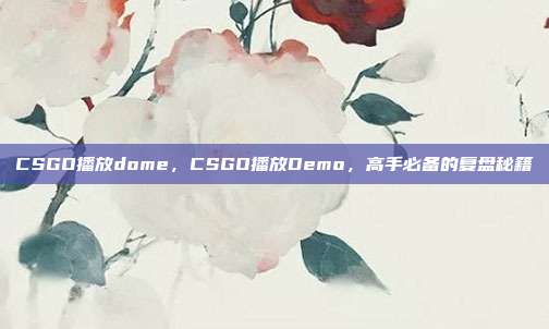 CSGO播放dome，CSGO播放Demo，高手必备的复盘秘籍