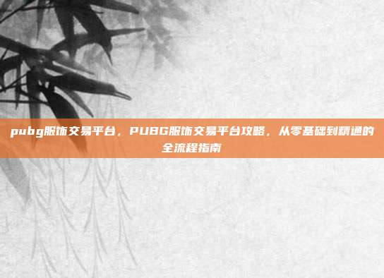 pubg服饰交易平台，PUBG服饰交易平台攻略，从零基础到精通的全流程指南