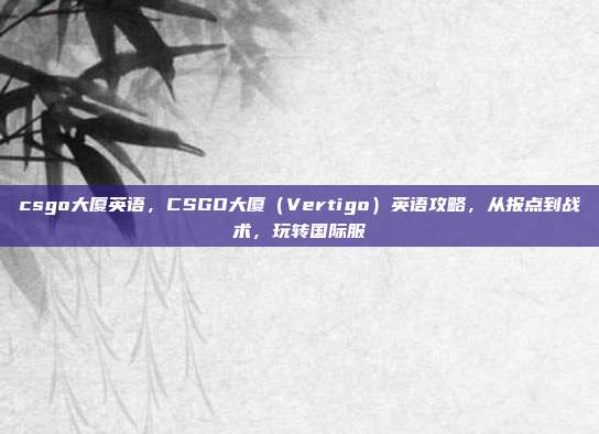 csgo大厦英语，CSGO大厦（Vertigo）英语攻略，从报点到战术，玩转国际服