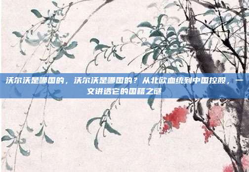 沃尔沃是哪国的，沃尔沃是哪国的？从北欧血统到中国控股，一文讲透它的国籍之谜