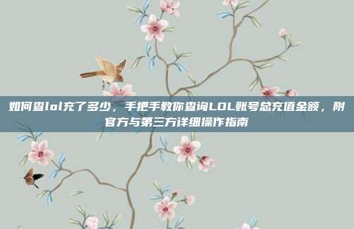 如何查lol充了多少，手把手教你查询LOL账号总充值金额，附官方与第三方详细操作指南