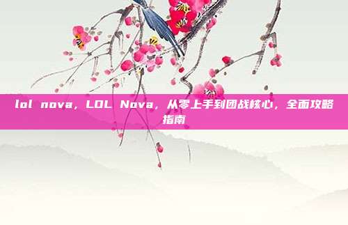 lol nova，LOL Nova，从零上手到团战核心，全面攻略指南