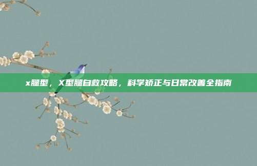 x腿型，X型腿自救攻略，科学矫正与日常改善全指南