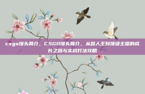 csgo馒头简介，CSGO馒头简介，从路人王到顶级主播的成长之路与实战打法攻略