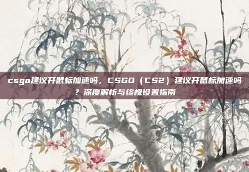csgo建议开鼠标加速吗，CSGO（CS2）建议开鼠标加速吗？深度解析与终极设置指南