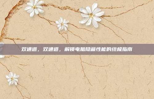 双通道，双通道，解锁电脑隐藏性能的终极指南