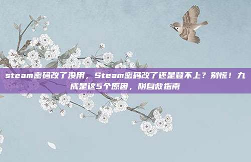 steam密码改了没用，Steam密码改了还是登不上？别慌！九成是这5个原因，附自救指南