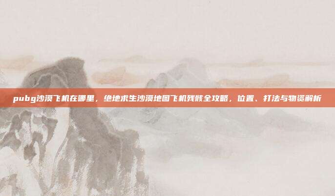 pubg沙漠飞机在哪里，绝地求生沙漠地图飞机残骸全攻略，位置、打法与物资解析