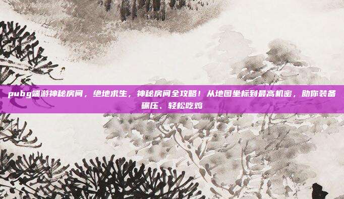 pubg端游神秘房间,绝地求生,神秘房间全攻略!从地图坐标到最高机密,助你装备碾压、轻松吃鸡