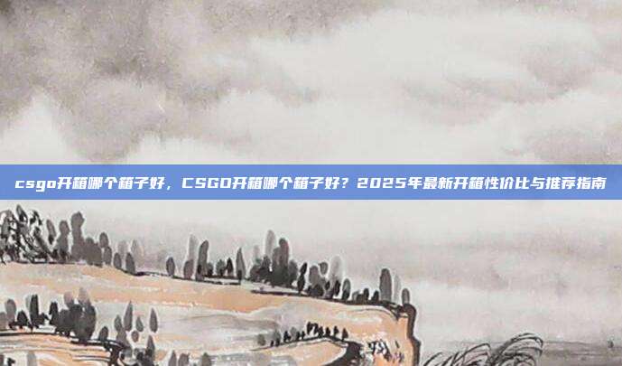 csgo开箱哪个箱子好,CSGO开箱哪个箱子好?2025年最新开箱性价比与推荐指南