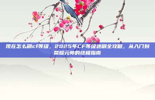 现在怎么刷cf等级，2025年CF等级速刷全攻略，从入门到荣耀元帅的终极指南